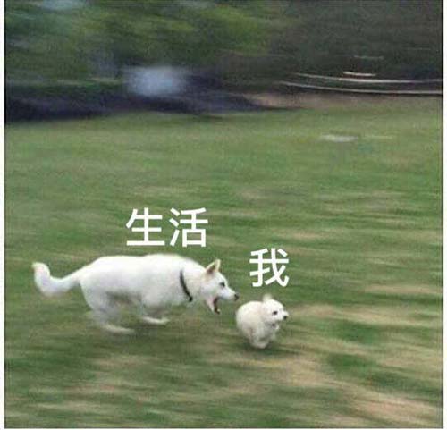 生活和我表情包