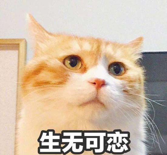 表情包