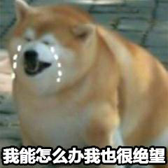 绝望