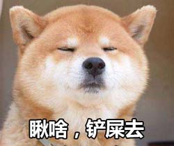 铲屎