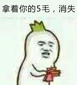 五毛