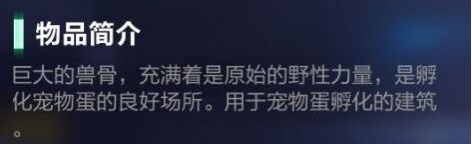 我的起源