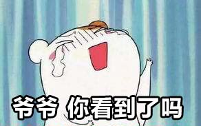 方舟生存进化