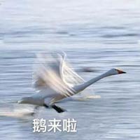表情包