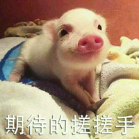 表情包223