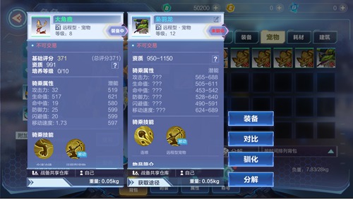 我的起源