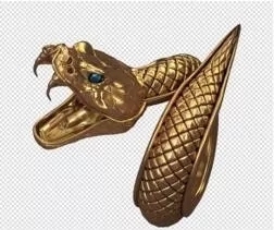 CF手游金蛇戒指