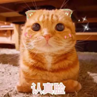 认真
