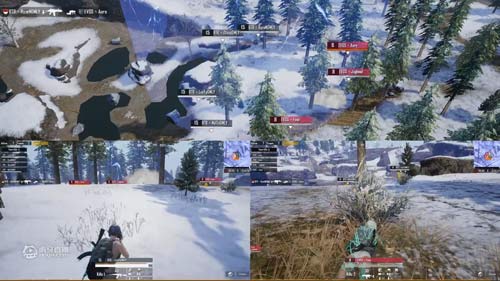 实力