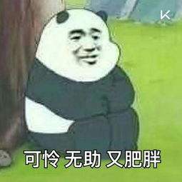 全面战争三国