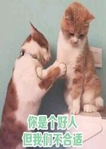 合适