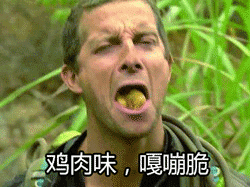 鸡肉味