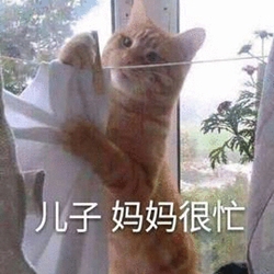 表情包
