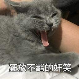 奸笑