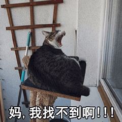 找不到