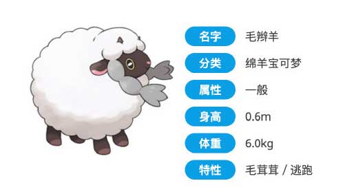 毛辫