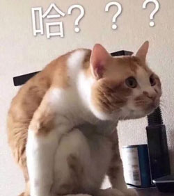 哈