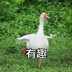《天黑请闭眼》:暗影生存游戏,你的智商够用吗?