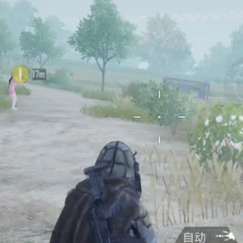 和平精英