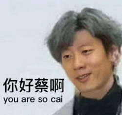 你好蔡啊