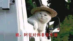 表情包