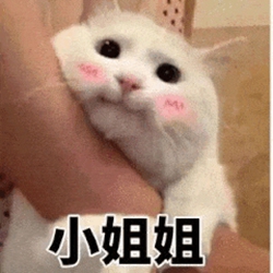 表情包