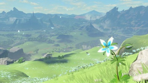 风景