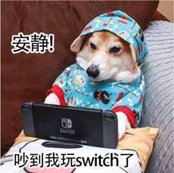 主机