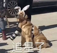 表情包