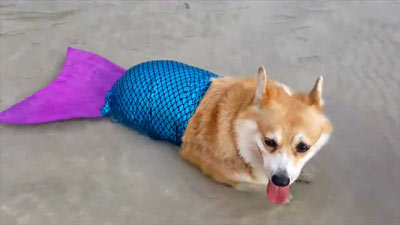 合适