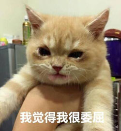 委屈