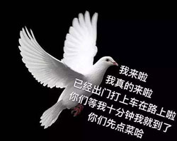 路上