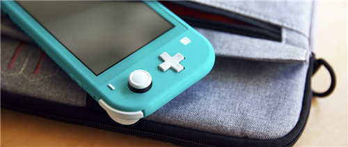 Switch Lite
