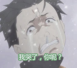哭了
