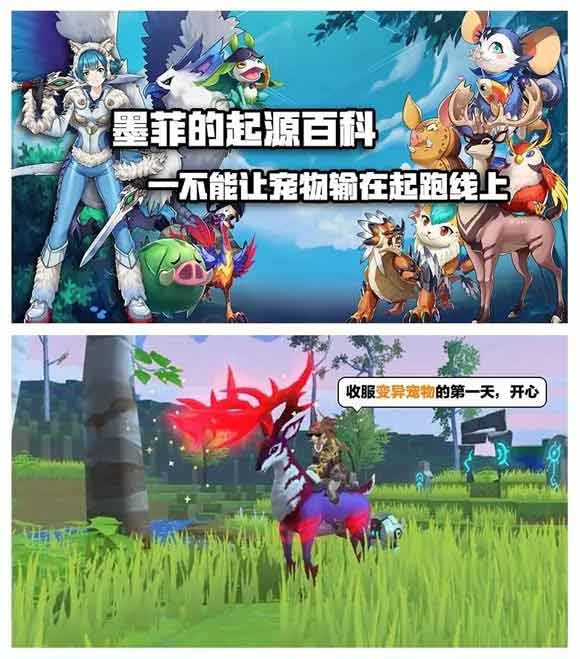 我的起源