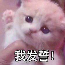 发誓