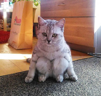 蹲着