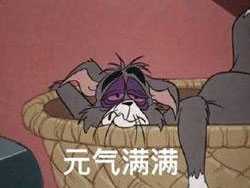 元气满满