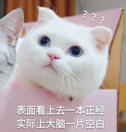 正经