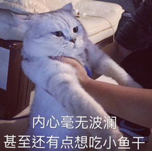 表情包