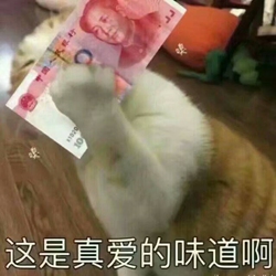真爱