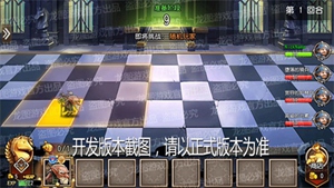 棋子