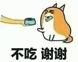 狗粮