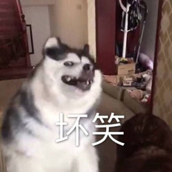 坏笑