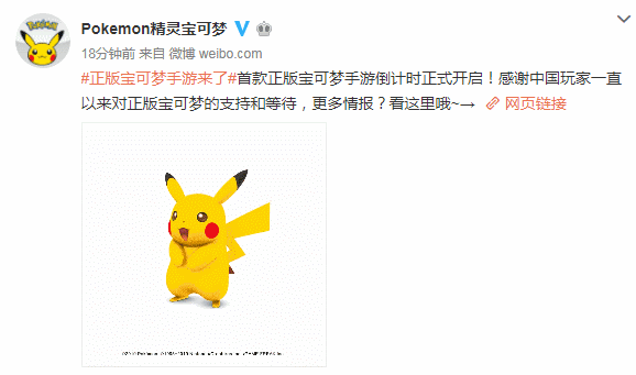 网站