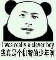 机智
