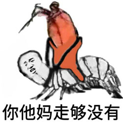 皮皮虾