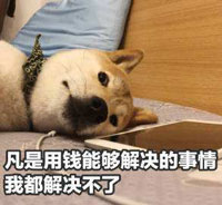 表情包