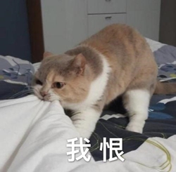我恨
