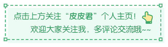 皮皮君